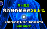 第14集 急诊肝移植高达26.6% 第14集 急诊肝移植高达26.6%